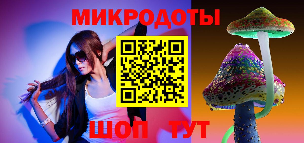Галлюциногенные грибы Cubensis Норильск