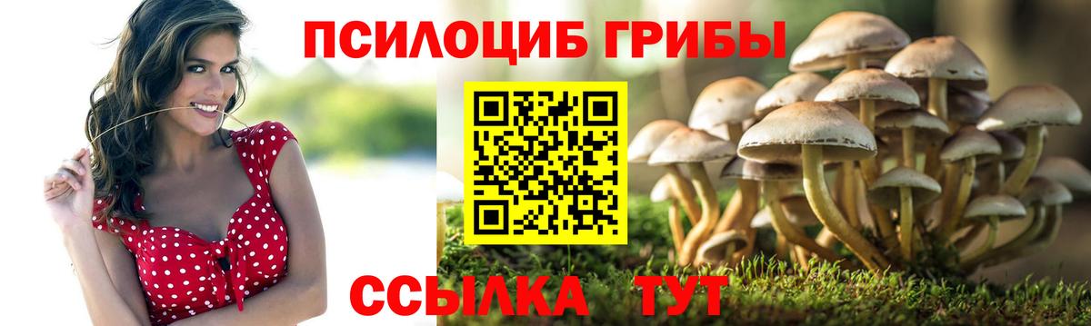 Норильск  Псилоцибиновые грибы ЛСД  Вход с VPN  Псилоцибиновые грибы мухоморы 